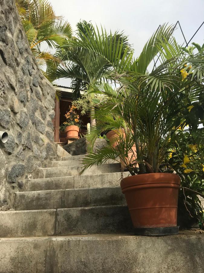 Villa Moai 974 Saint-Leu Eksteriør billede